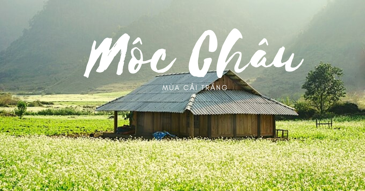 Mộc Châu 2 ngày 1 đêm